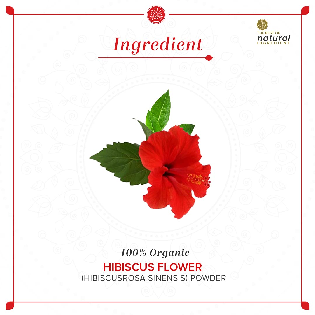 KHADI NATURAL Hibiscus Flower Organic Powder Pack of 2 (2x100gm) 200gm – view 7