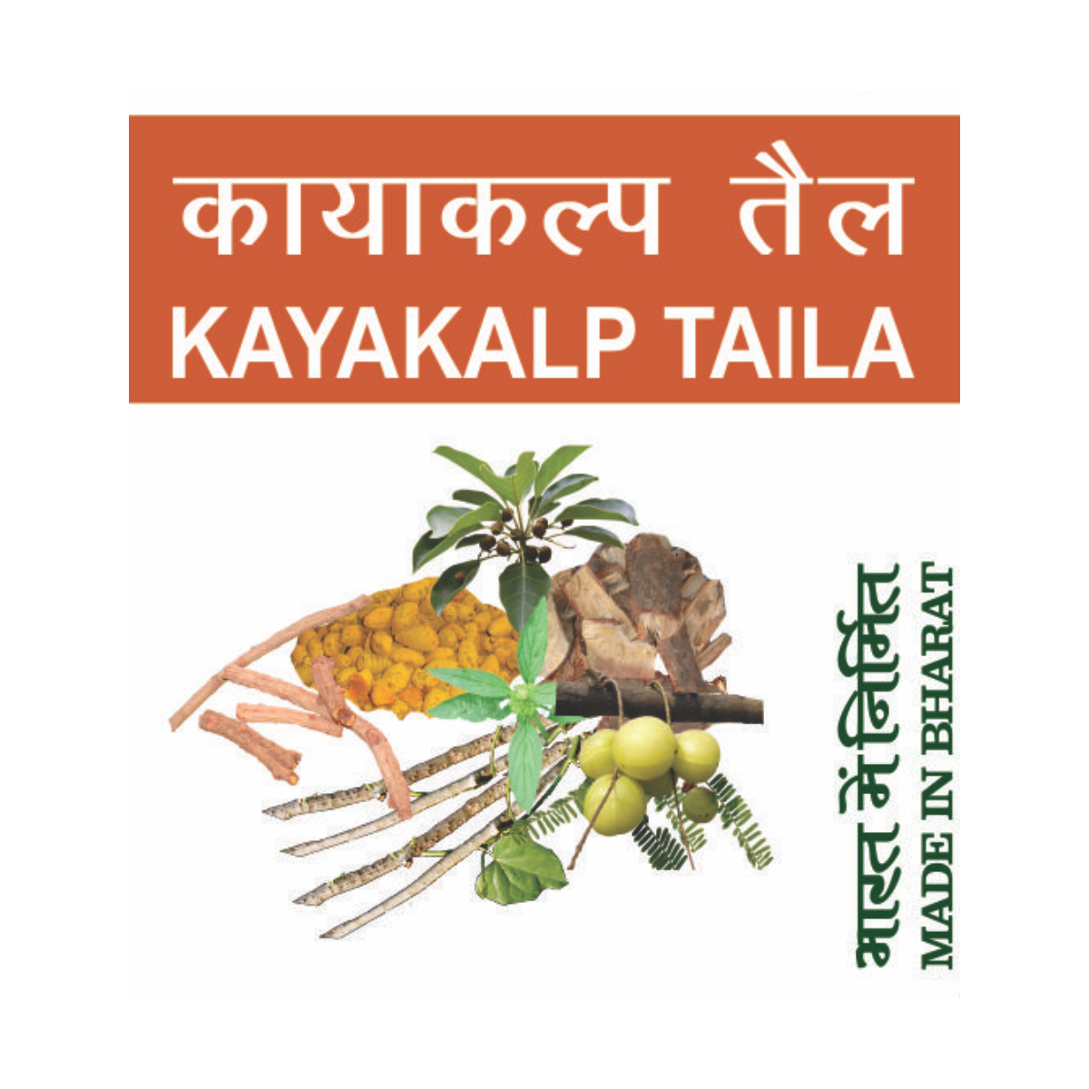 Divya Kayakalp Taila 100 ml – view 10