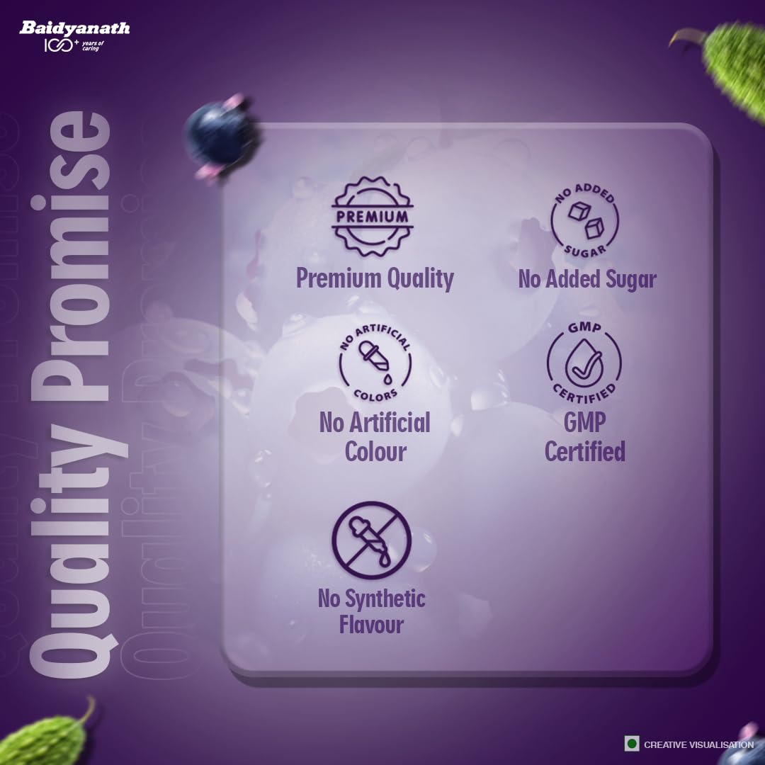 Baidyanath Premium Karela Jamun Juice - 1L – view 5