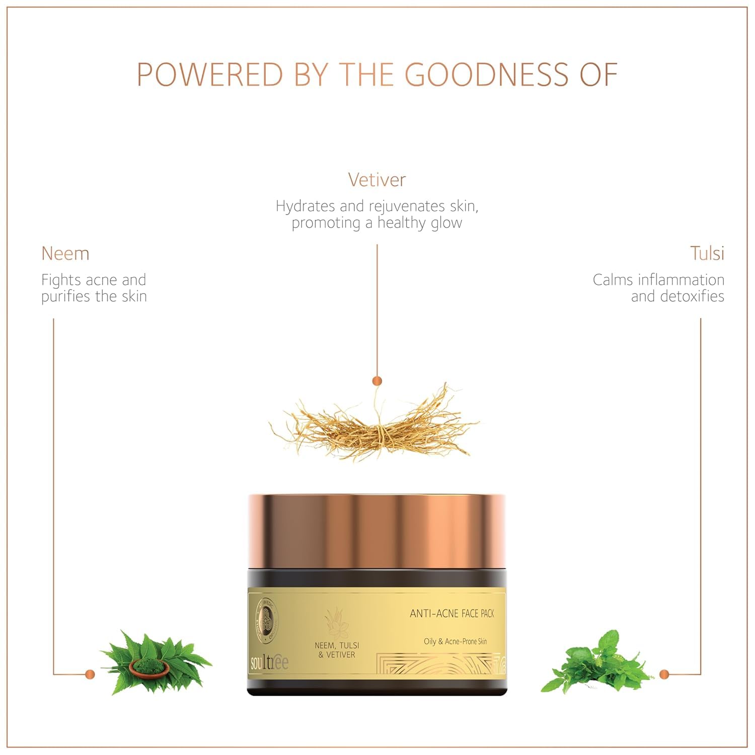 SoulTree Radiance Face Pack - Pink Lotus, Saffron & Turmeric – view 2