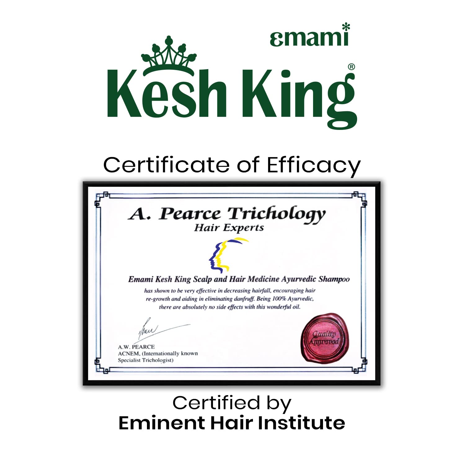 Kesh King Ayurvedic Anti Hairfall Shampoo Reduces Hairfall, 21 Natural Ingredients With The Goodness Of Aloe Vera, Bhringraja And Amla For Silky, Shiney, Smooth Hair, 1000Ml – view 7