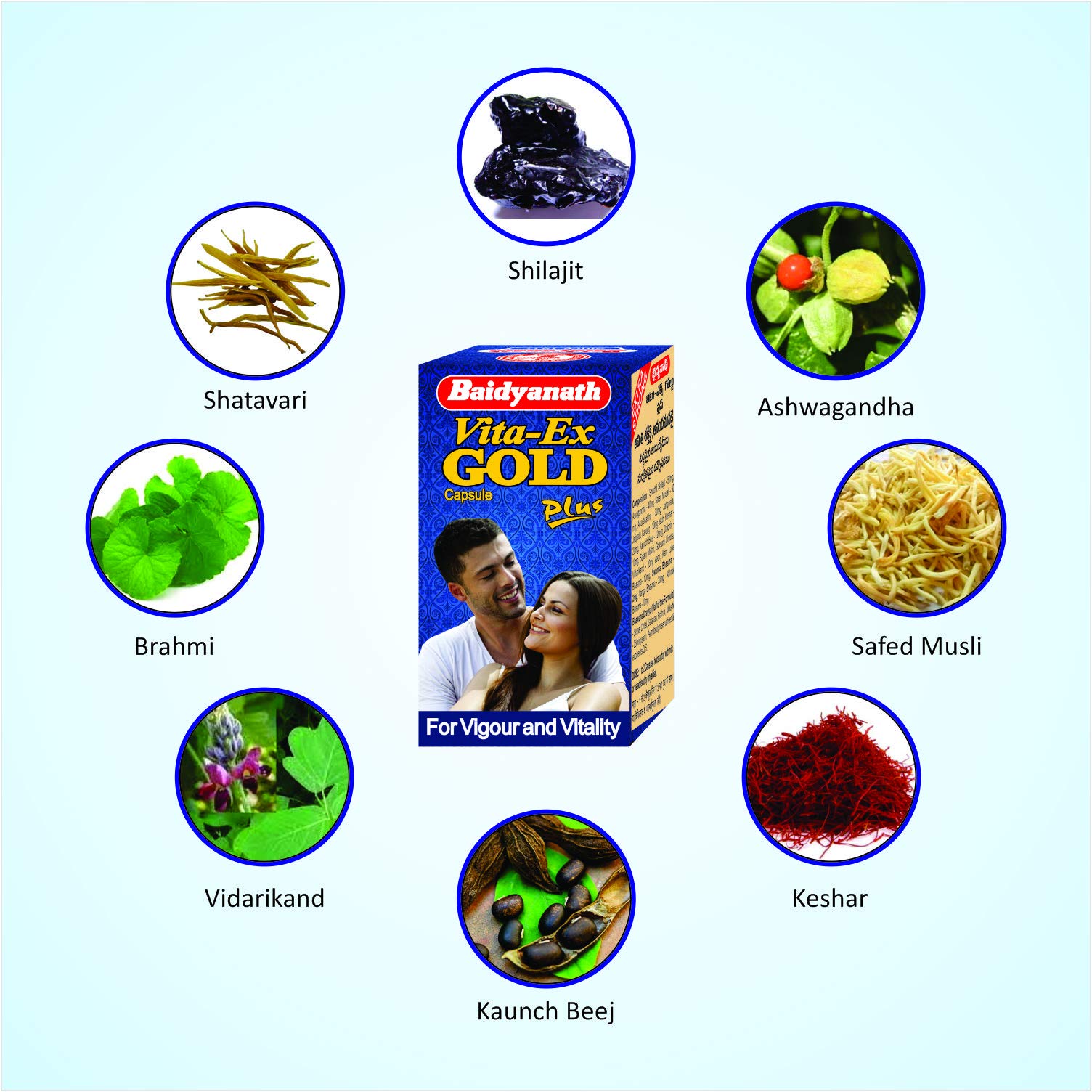Baidyanath Vita Ex Gold Plus -Pack of 10 Capsules – view 3