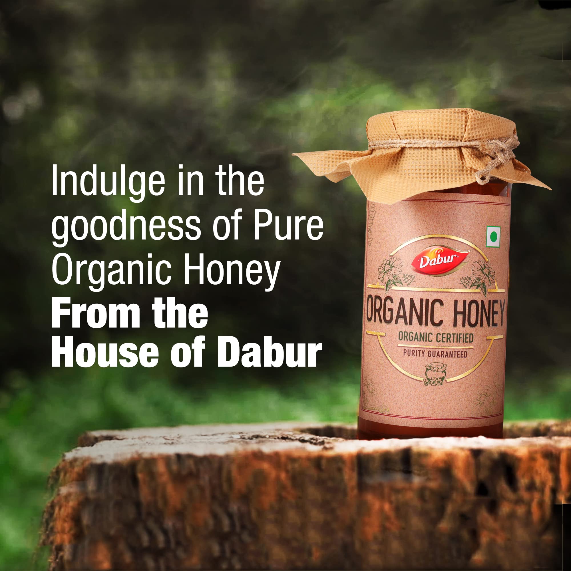 Dabur Organic Honey – view 6