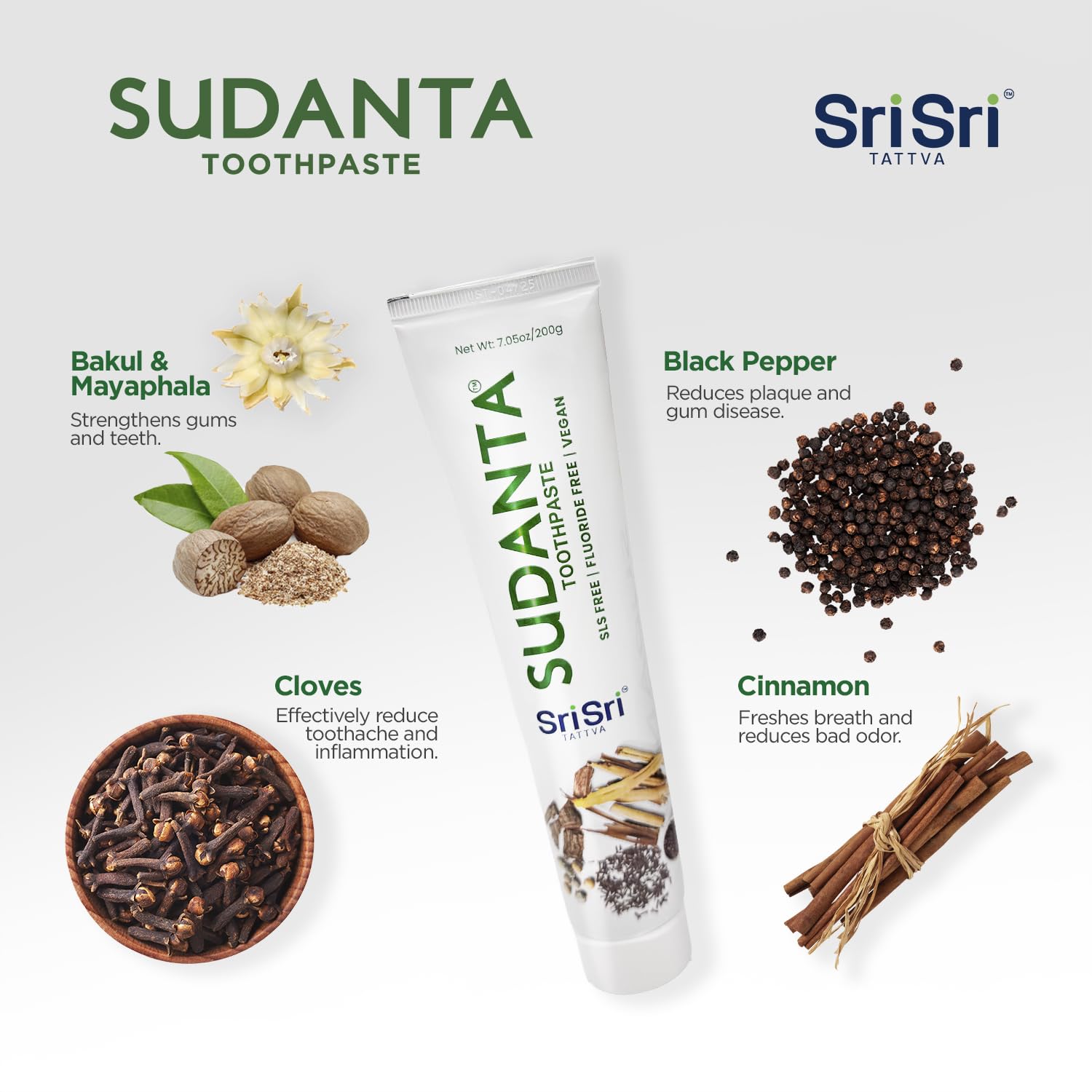 Sri Sri Tattva Sudanta Original Toothpaste - All Natural, Fluoride Free Tooth Paste with Cloves, Cinnamon, Bakul & More - 200g (Pack of 2), for Kids and Adults – view 4
