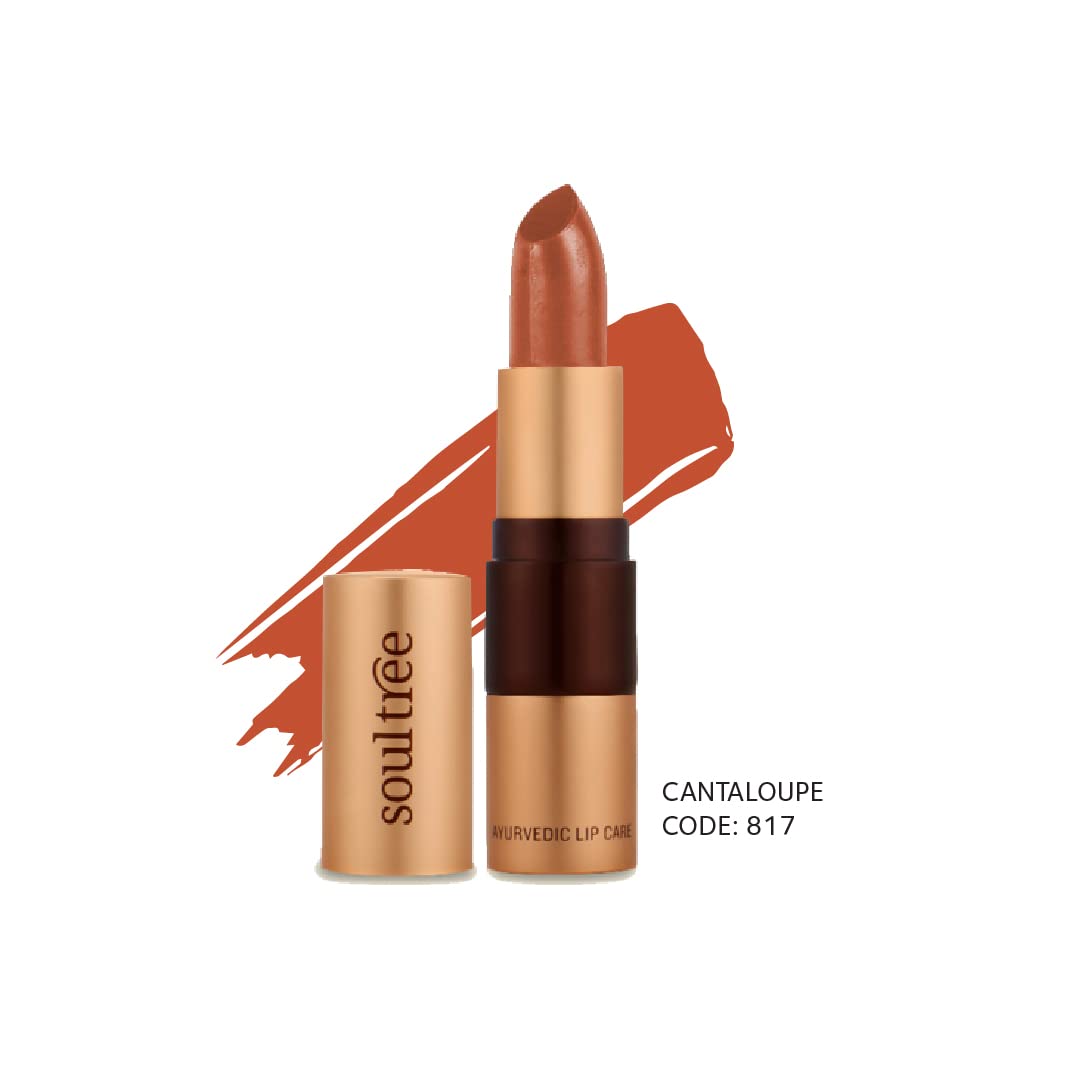 SoulTree Ayurvedic Lipstick - Cantaloupe 817, 4gm – view 2