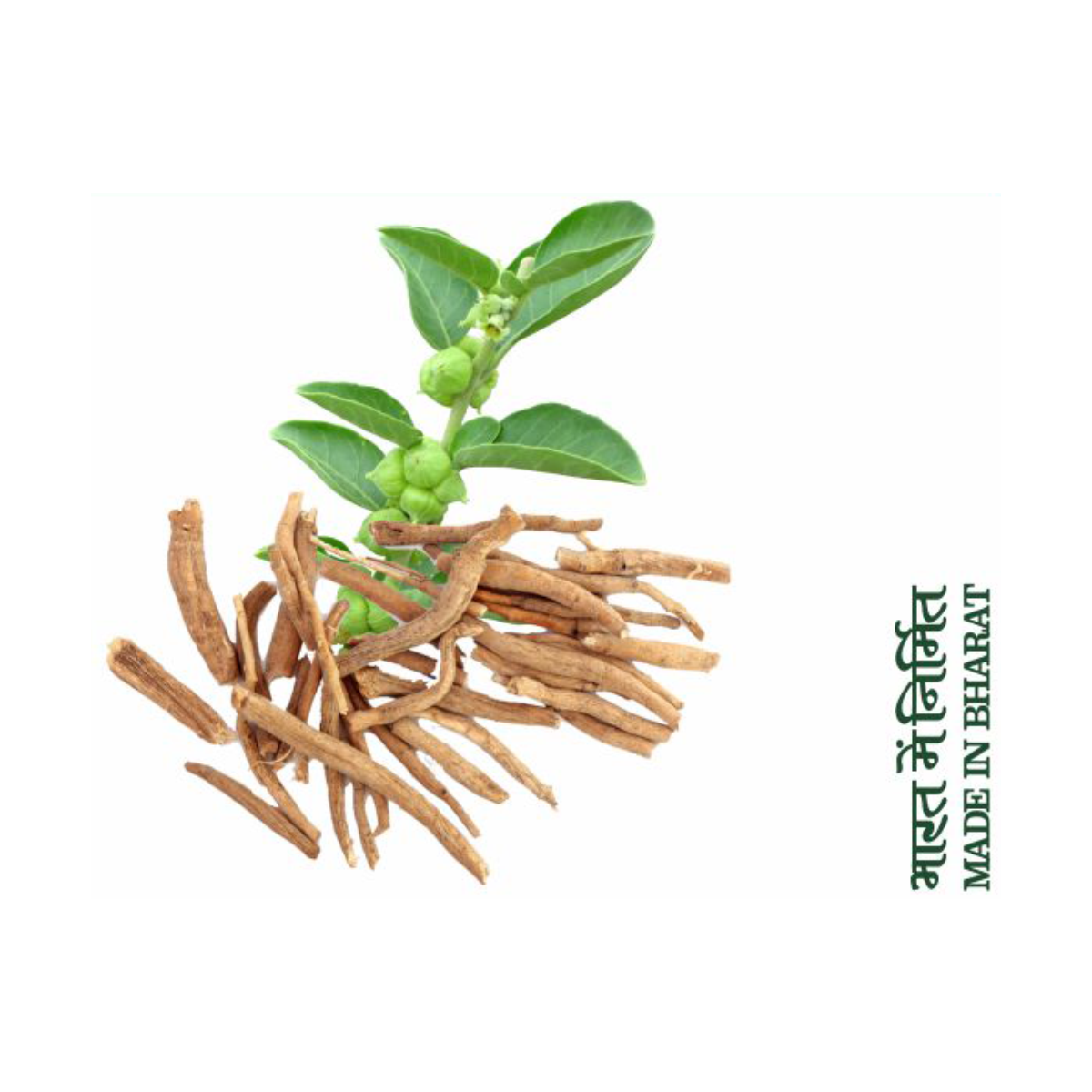 Divya Ashwagandha Churna 100 g – view 4