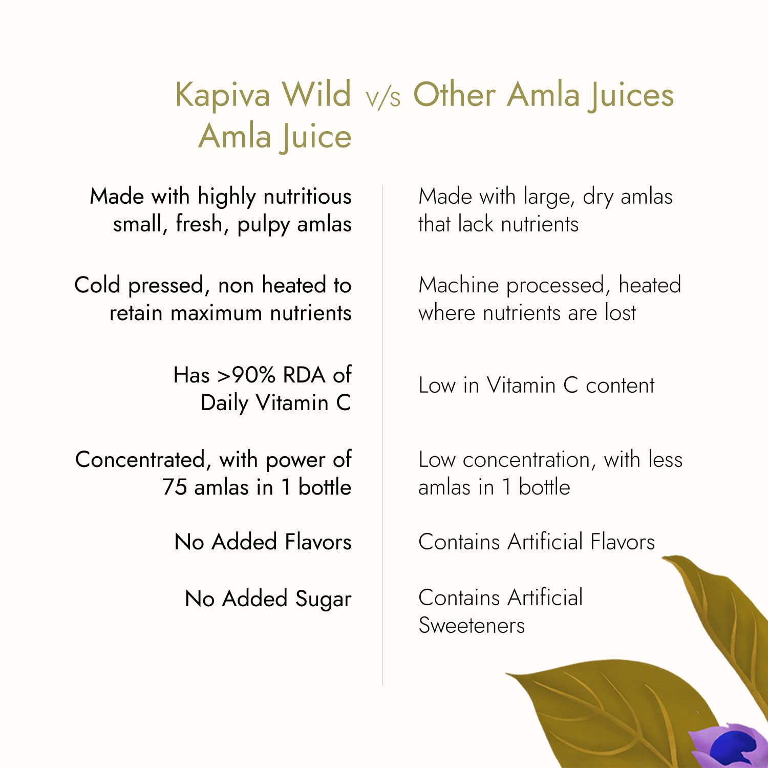 Kapiva Wild Amla Juice (3L) – view 7
