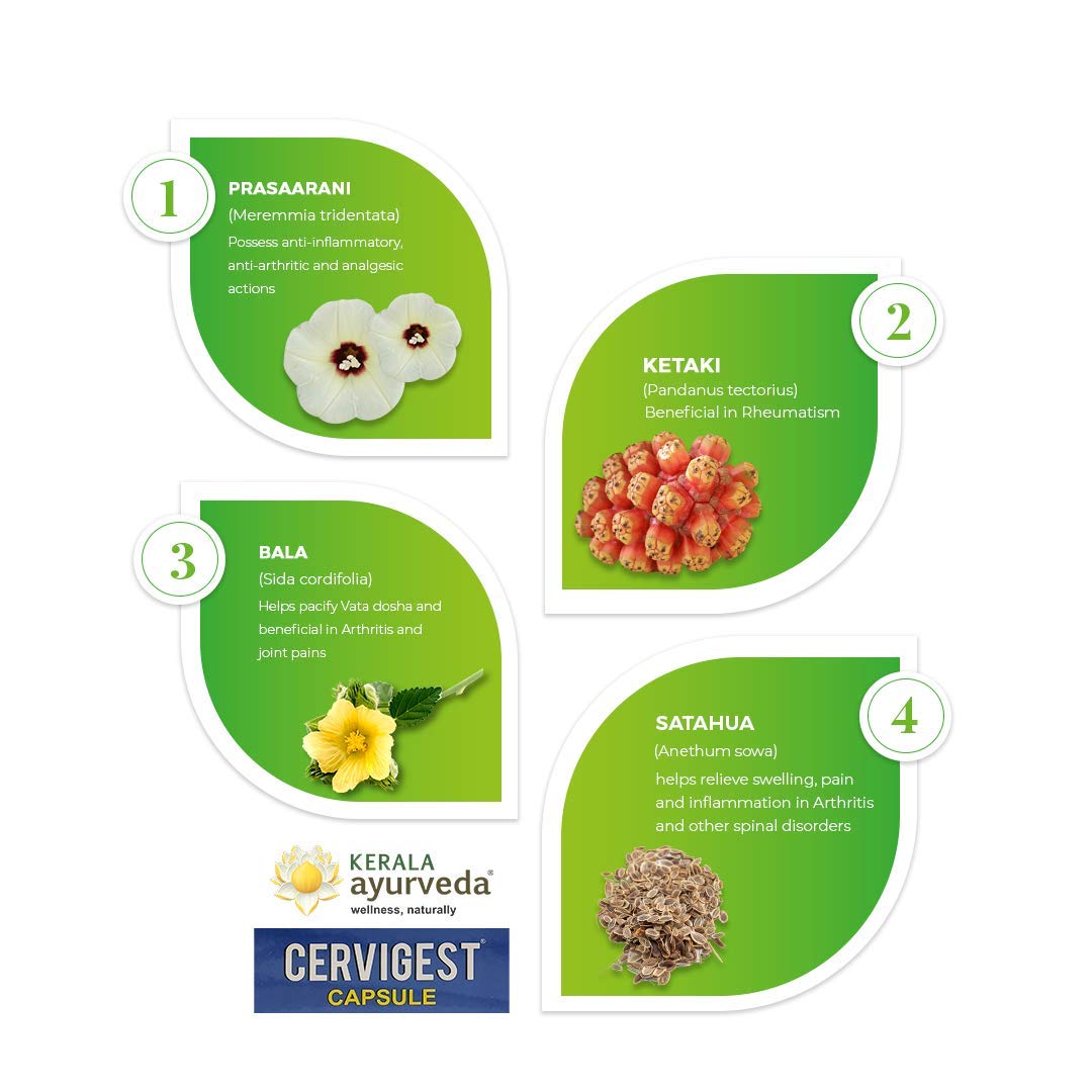 Kerala Ayurveda Cervigest Capsule- 100 Count – view 5