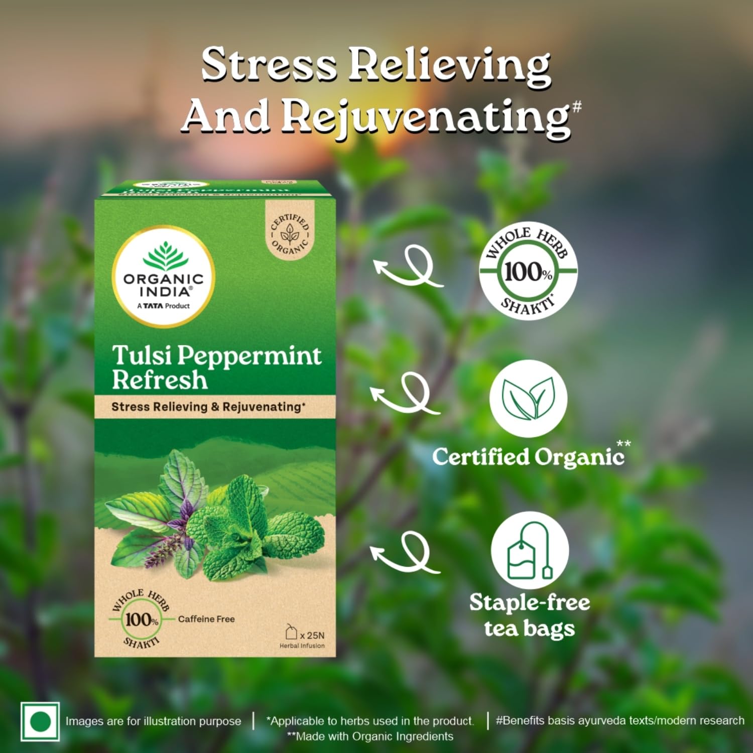 ORGANIC INDIA Tulsi Peppermint Refresh 25 Tea Bags – view 3