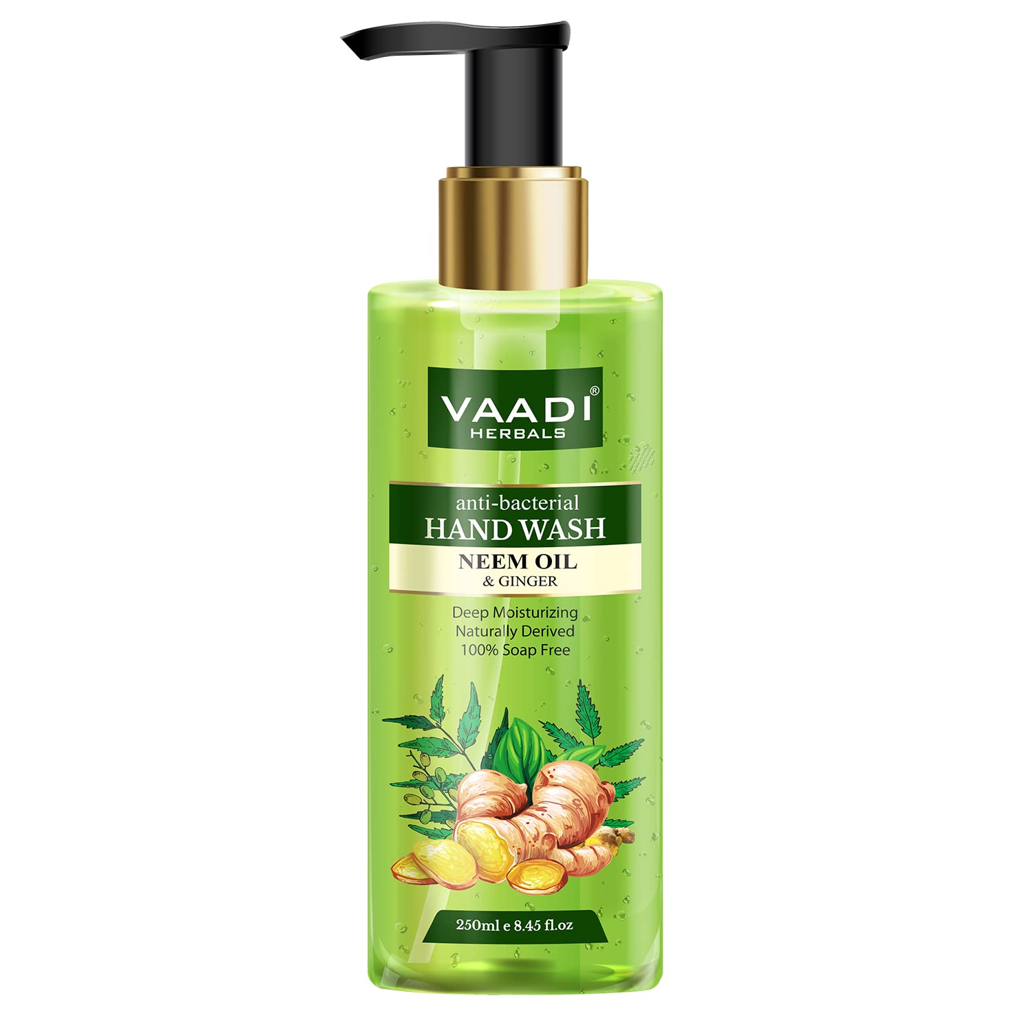 Vaadi Herbals Anti Bacterial Neem Oil and Ginger Hand Wash - 250 ml – view 2
