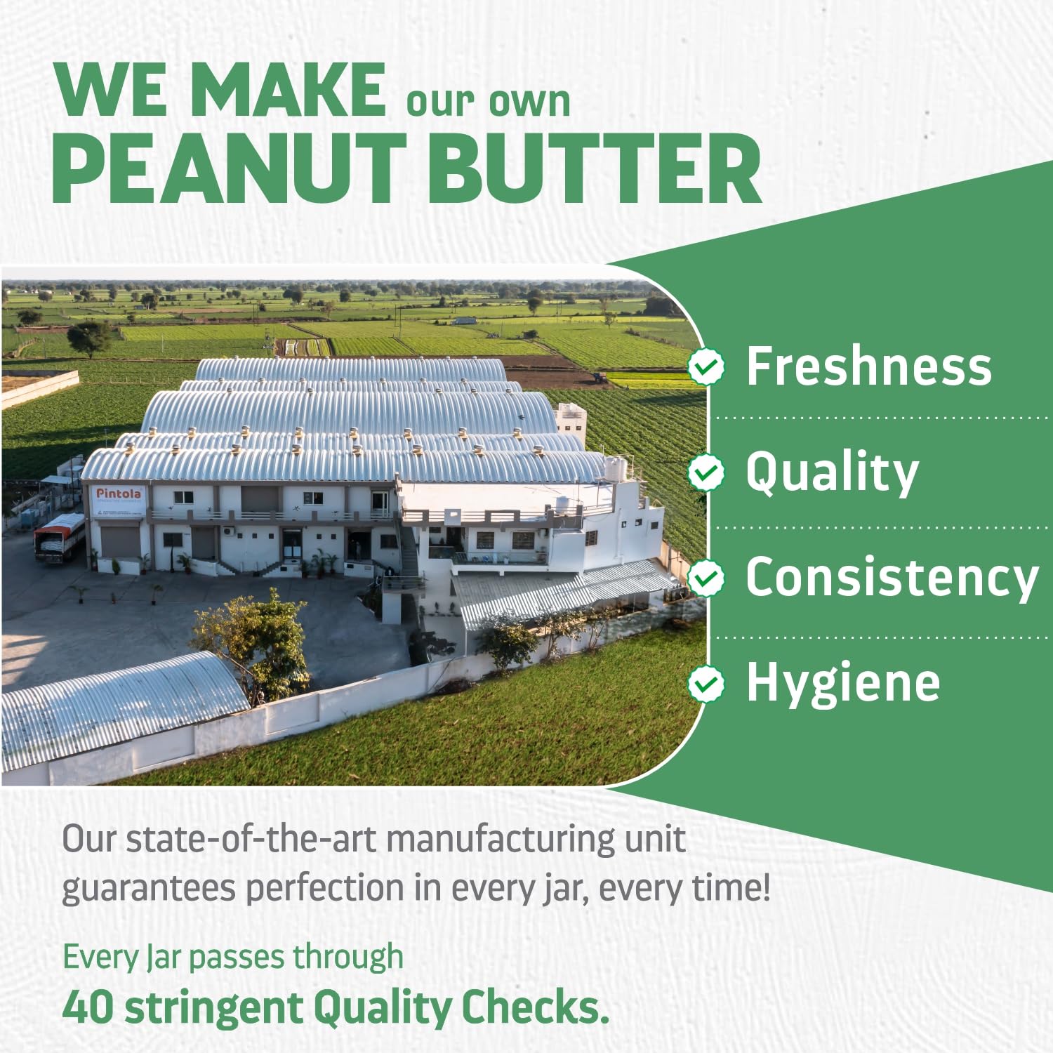 Pintola All Natural Peanut Butter EXTRA CRUNCHY 350g, 30g Vegan Protein, 100% Pure Roasted Peanuts, Non Gmo, High in Protein Spread, Gluten & Cholesterol Free, Nut Butter, Peanut Butter Unsweetened – view 5