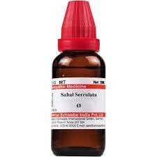 Dr. Willmar Schwabe India Sabal Serrulata Q liquid bottle