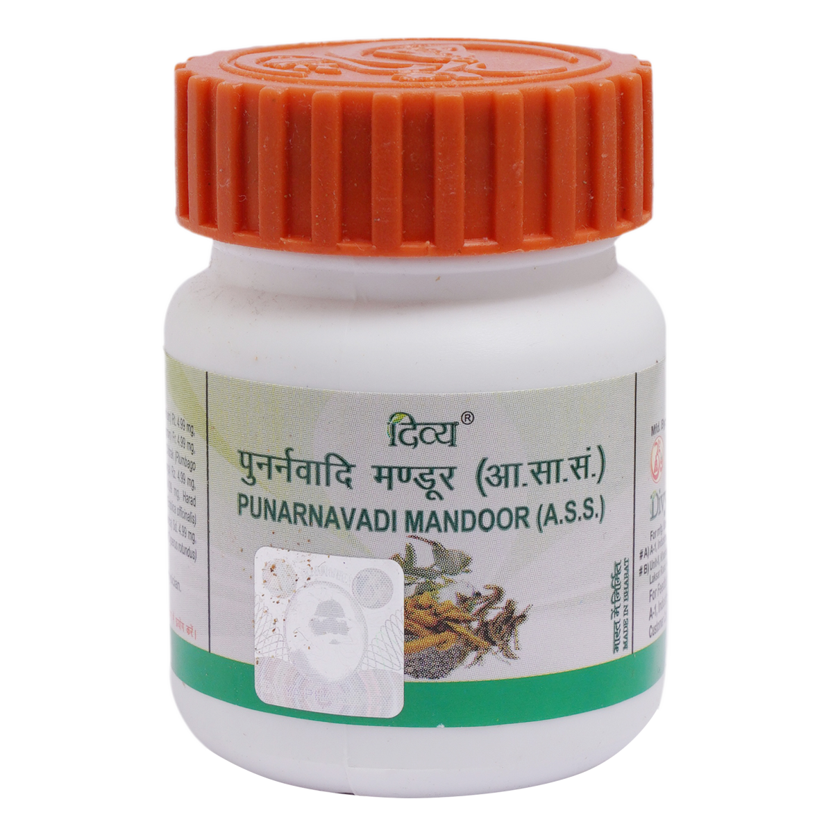 Divya Punarnavadi Mandoor 20 g – view 1