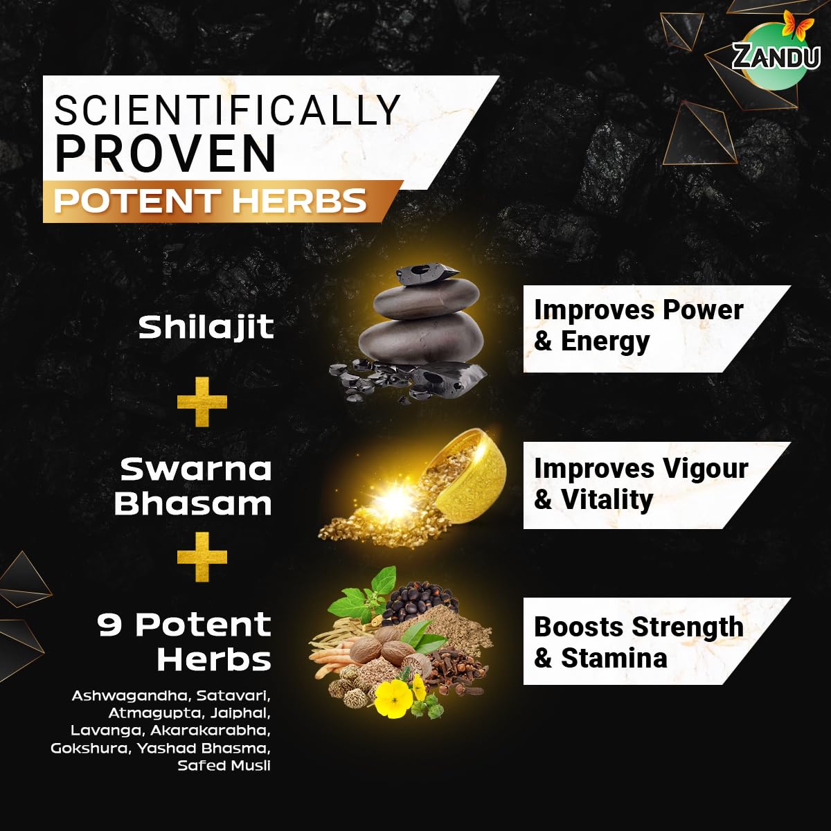 Zandu Shilajit Gold Plus – view 3