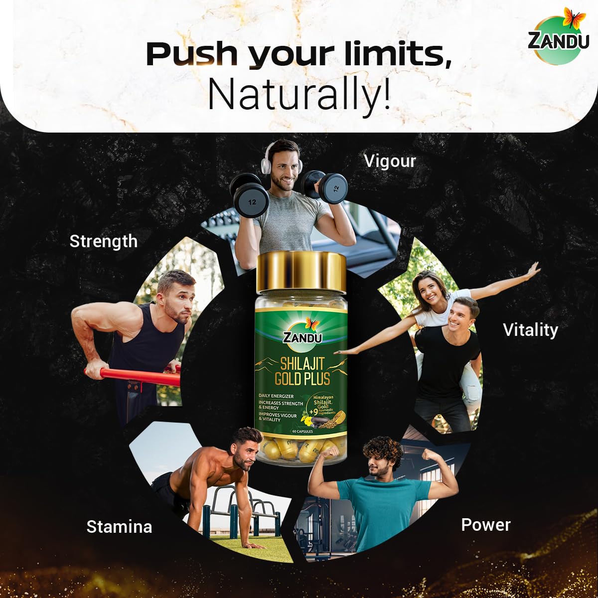 Zandu Shilajit Gold Plus – view 6
