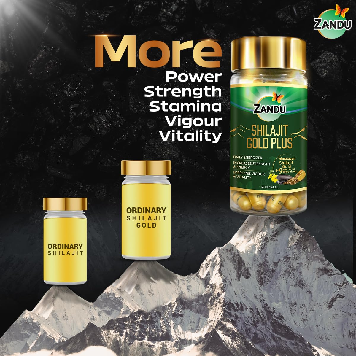 Zandu Shilajit Gold Plus – view 8