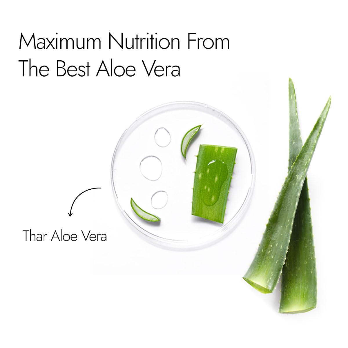 Kapiva Pure Aloe Vera Skin Gel 500g For Face & Hair – view 4