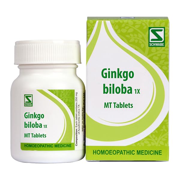 Dr. Willmar Schwabe Ginkgo Biloba 1X 20gm tablet box