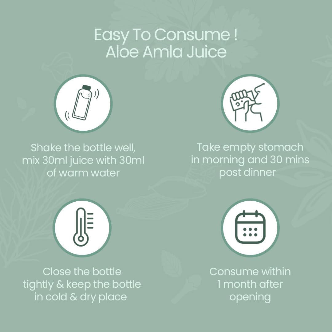 Krishna's Aloe Vera Amla Mix Juice - 1000 ml – view 5