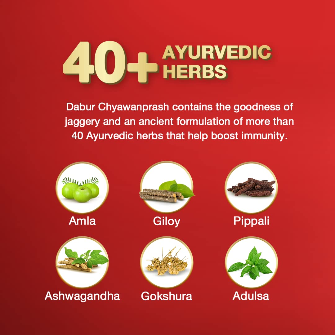 Dabur Chyawanprash Awaleha - 900g – view 4