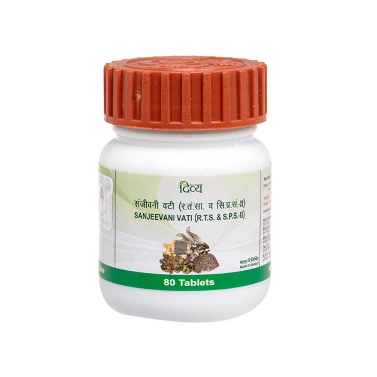 Divya Sanjeevani Vati 20 g – view 1