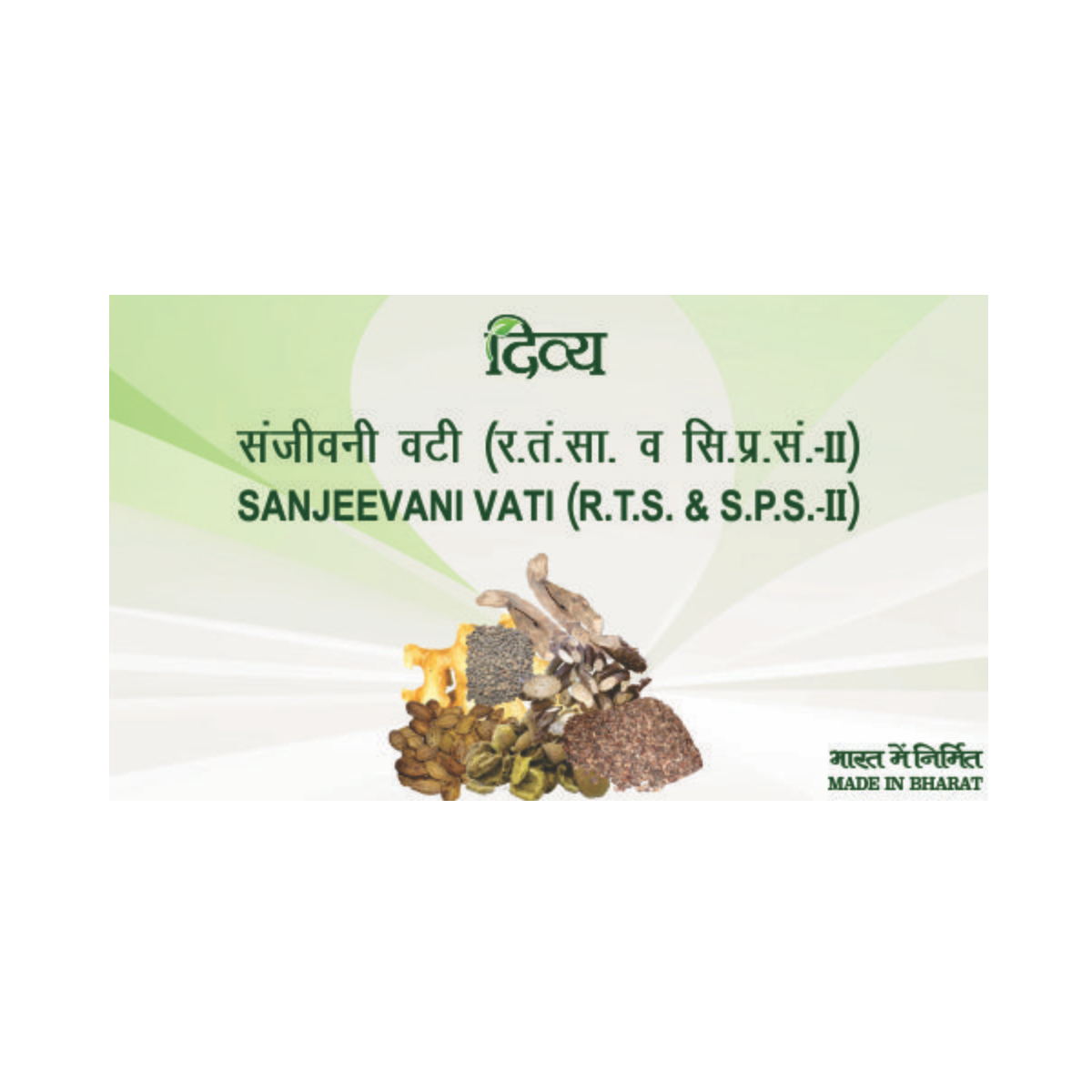 Divya Sanjeevani Vati 20 g – view 6