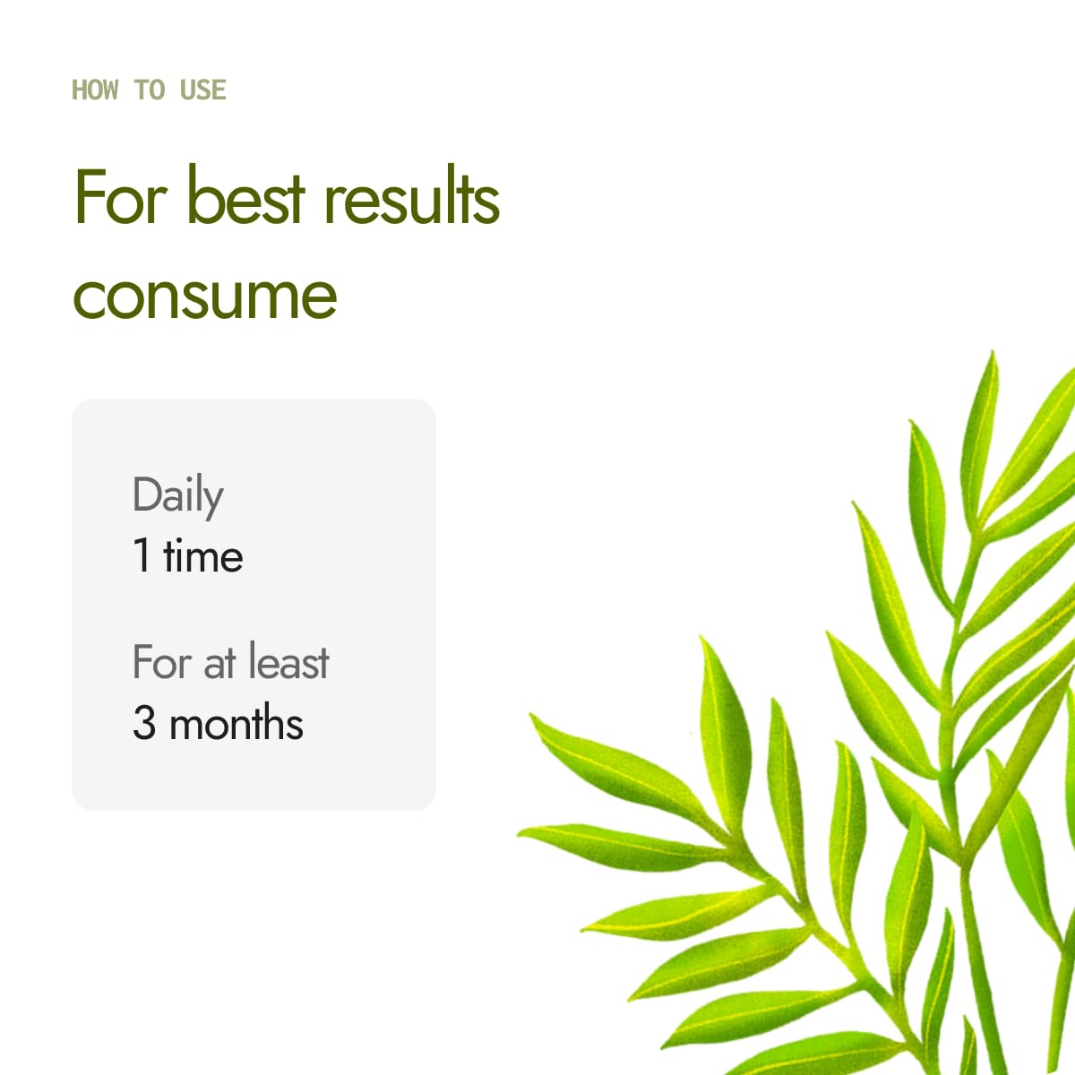 Kapiva Cholest Fit Juice, 1L X 3 Month Pack – view 7