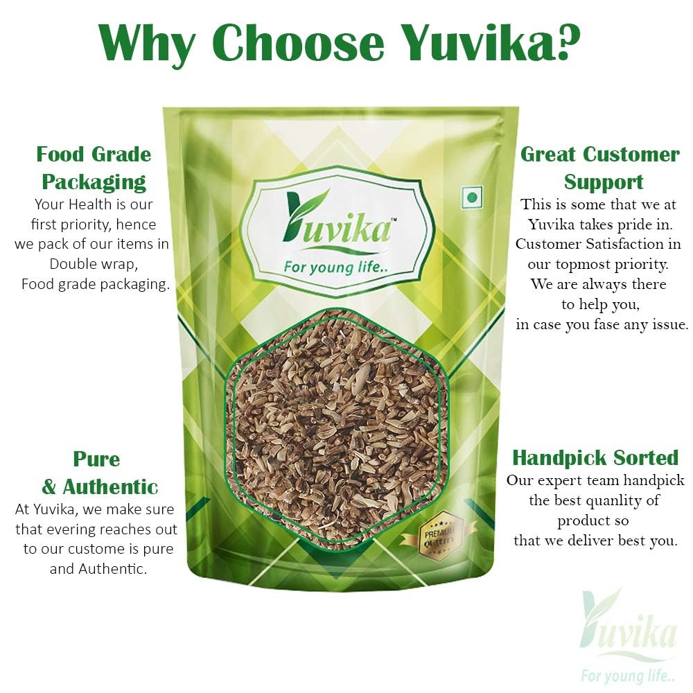 YUVIKA Kasni Seeds - Cichorium Intybus - Endive - Chicory 200 Grams – view 3