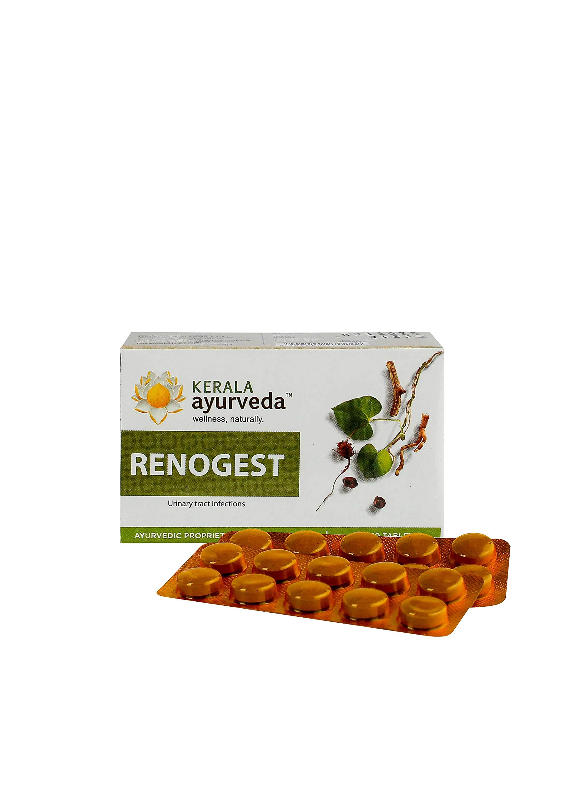 Kerala Ayurveda Renogest Tablet - 100 Tablets – view 2