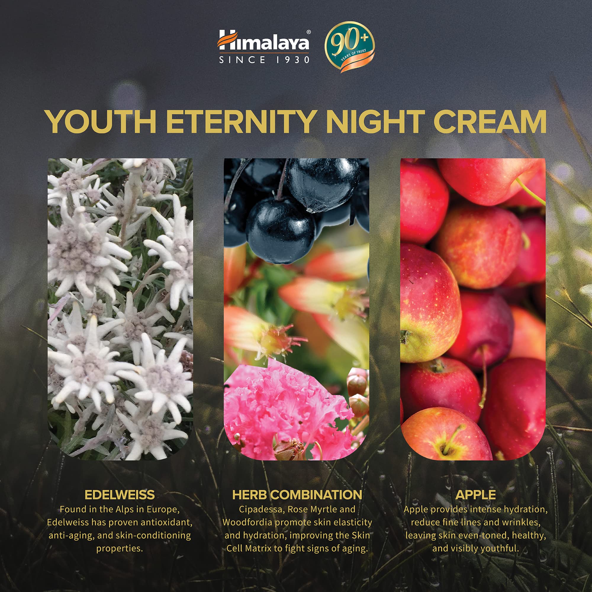 Himalaya Youth Eternity Night Cream, 50ml – view 3
