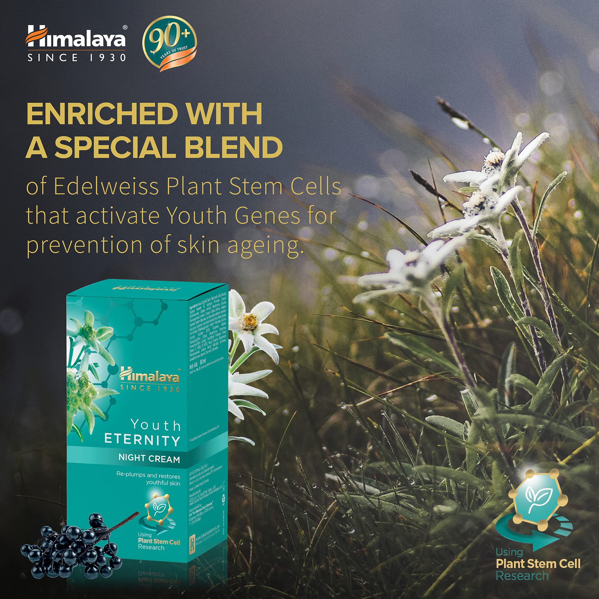 Himalaya Youth Eternity Night Cream, 50ml – view 4