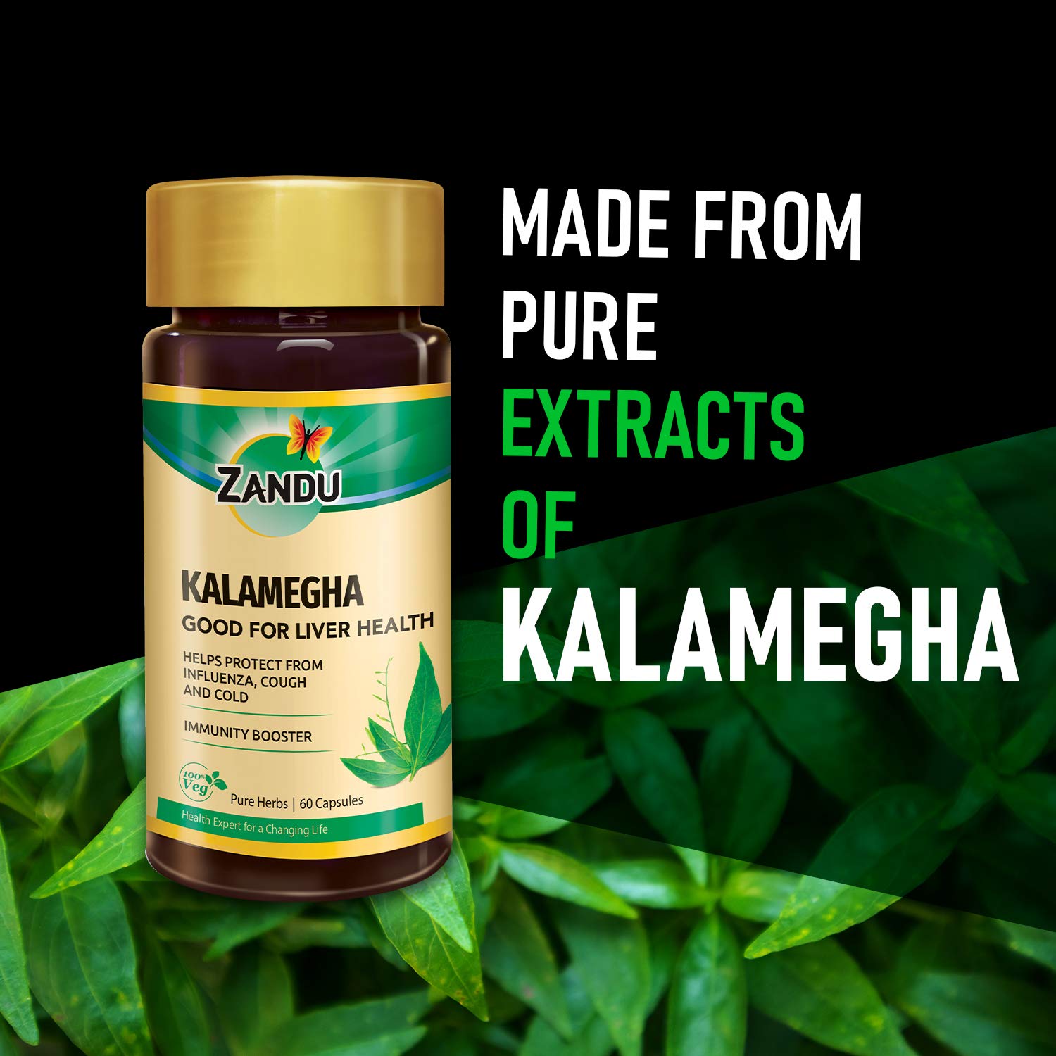 Zandu Kalamegha: An Ayurvedic Formula for Supporting Liver Functions – view 2