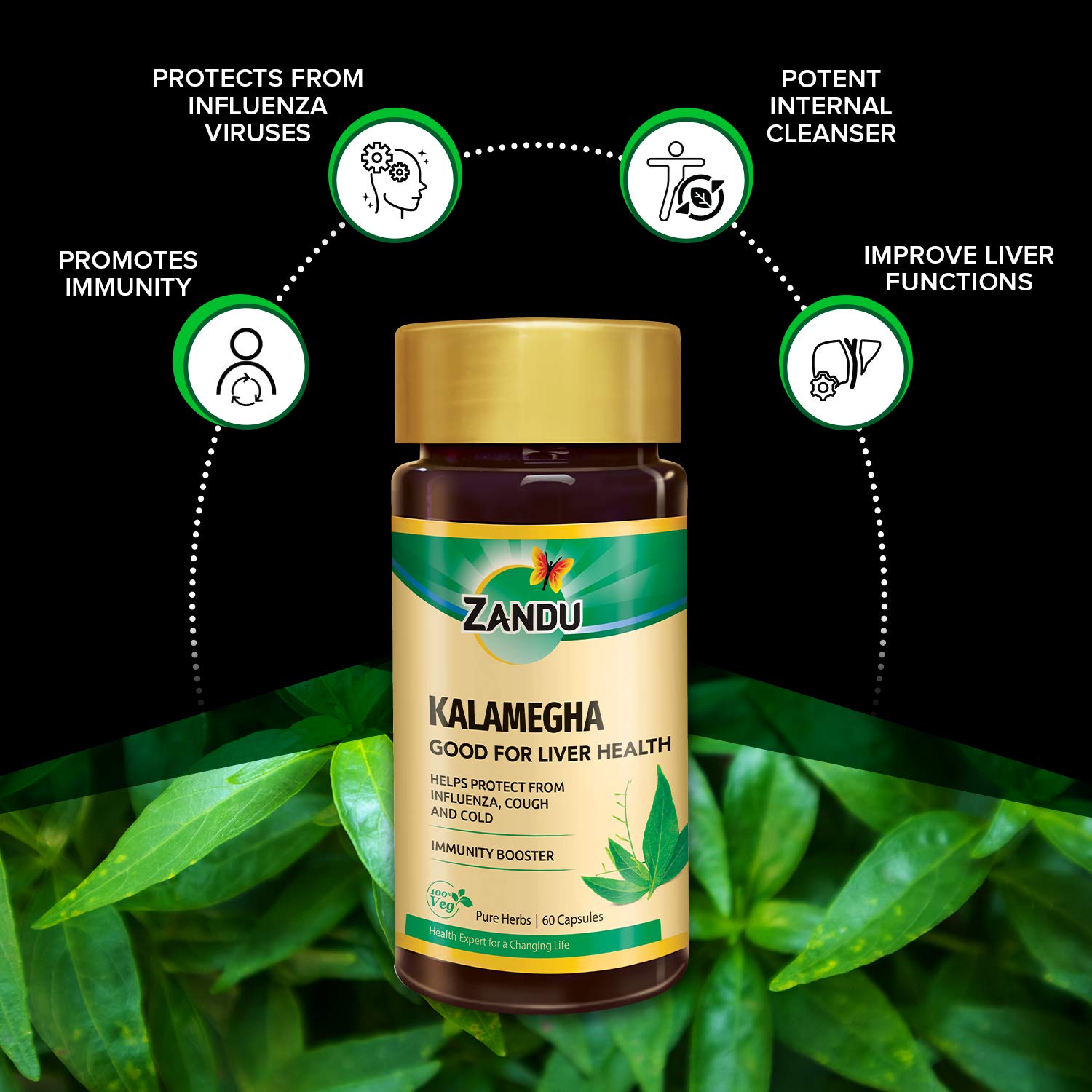 Zandu Kalamegha: An Ayurvedic Formula for Supporting Liver Functions – view 3