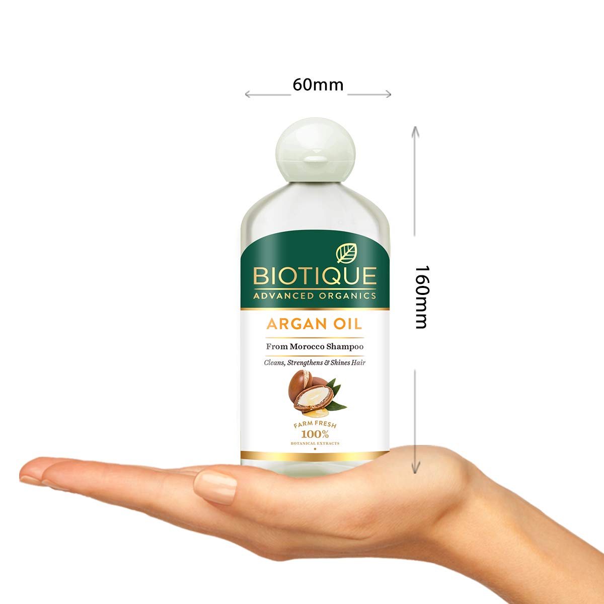 Biotique Argan Oil Hair Shampoo from Morocco (Cleans, Strengthens and Shines Hair), 300ml – view 3
