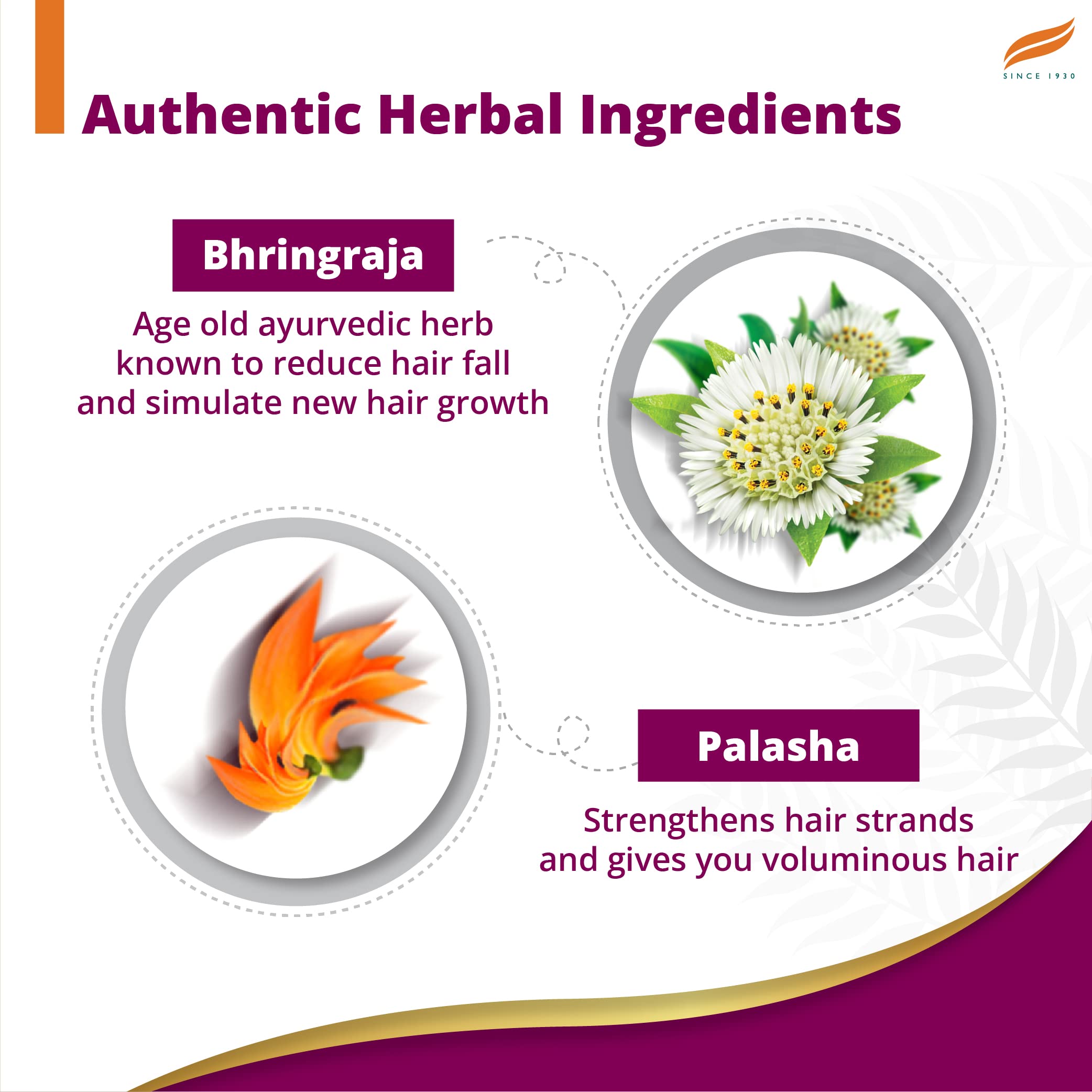 Himalaya Anti Hair Fall Shampoo with Bringaraja, 1000 ml – view 3