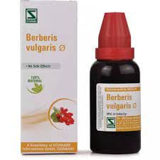 Dr. Willmar Schwabe India Berberis Vulgaris Q 30ML (Pack of 2) – view 2