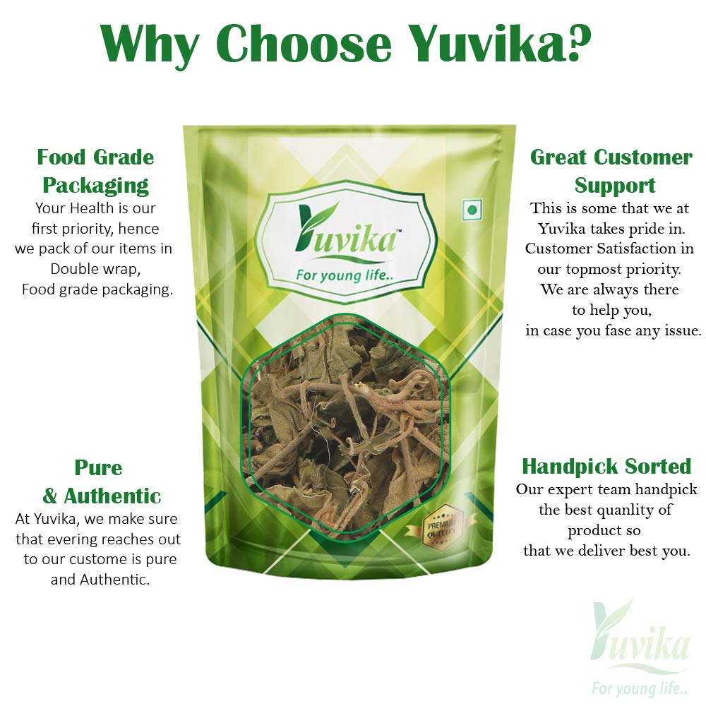 YUVIKA Gurmar Leaves - Gudmar Leaves - Gymnema Sylvestre - Periploca Of The Woods 100 Grams – view 3