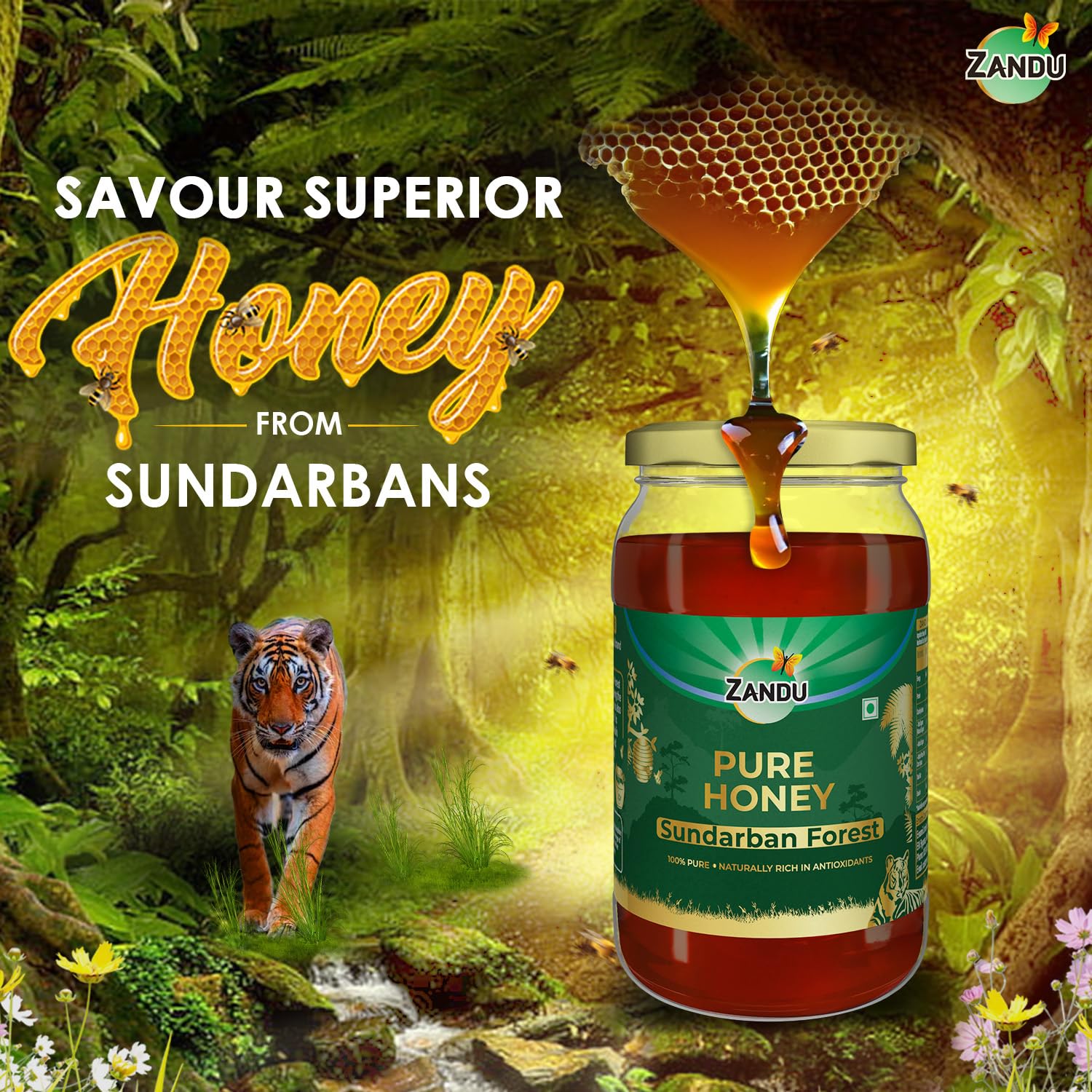 Zandu Pure Honey Sundarban Forest, Natural Honey from the Largest Mangrove Forest, Multi Flora & Medicinal Properties, Comes without Added Sugar & Preservatives, 100% Natural, Glass Jar, 500g – view 2