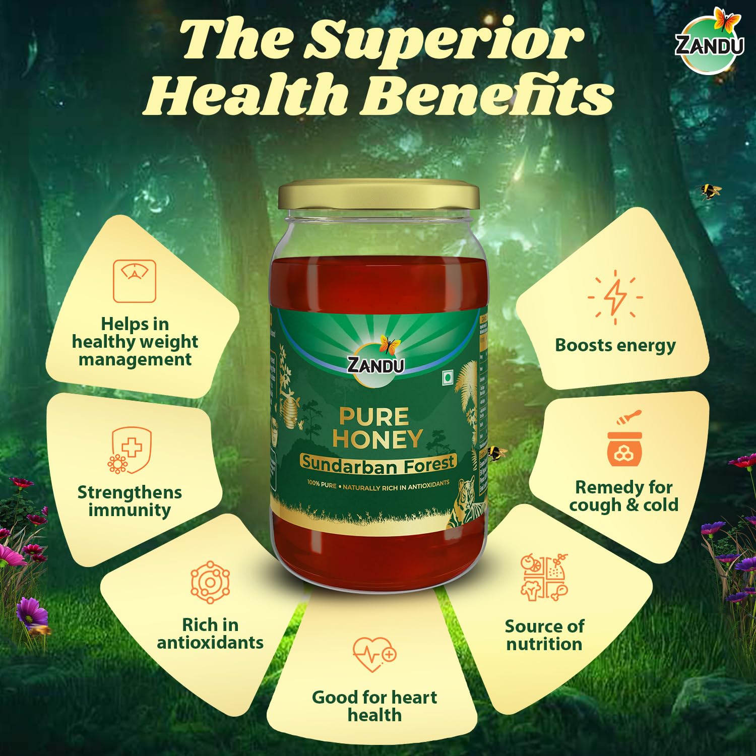 Zandu Pure Honey Sundarban Forest, Natural Honey from the Largest Mangrove Forest, Multi Flora & Medicinal Properties, Comes without Added Sugar & Preservatives, 100% Natural, Glass Jar, 500g – view 4