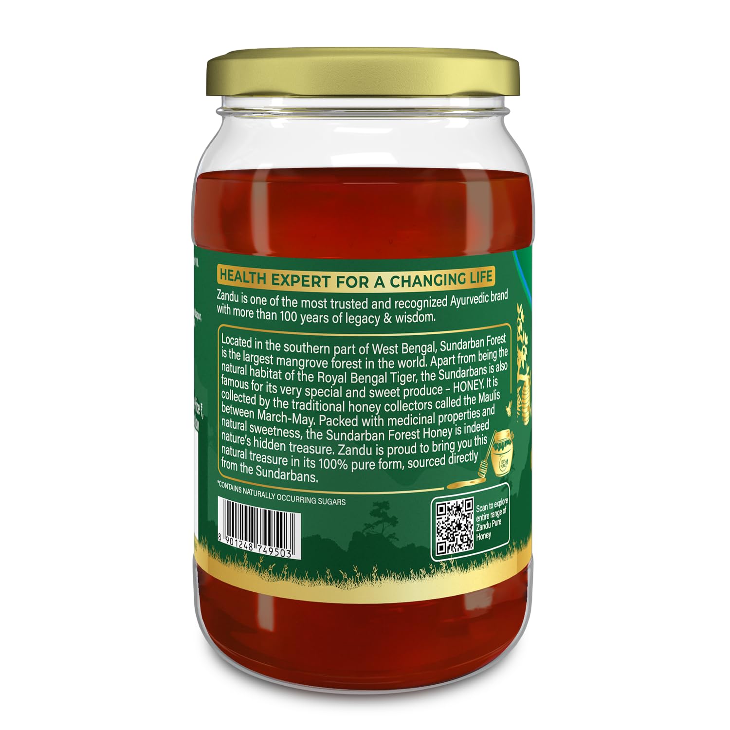 Zandu Pure Honey Sundarban Forest, Natural Honey from the Largest Mangrove Forest, Multi Flora & Medicinal Properties, Comes without Added Sugar & Preservatives, 100% Natural, Glass Jar, 500g – view 6