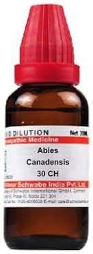 Abrotanum 30 CH liquid bottle pack of 2 by Dr. Willmar Schwabe India