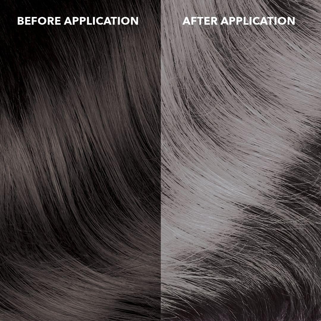 Paradyes Bullet Silver Temporary Hair Color, 45 gms – view 2