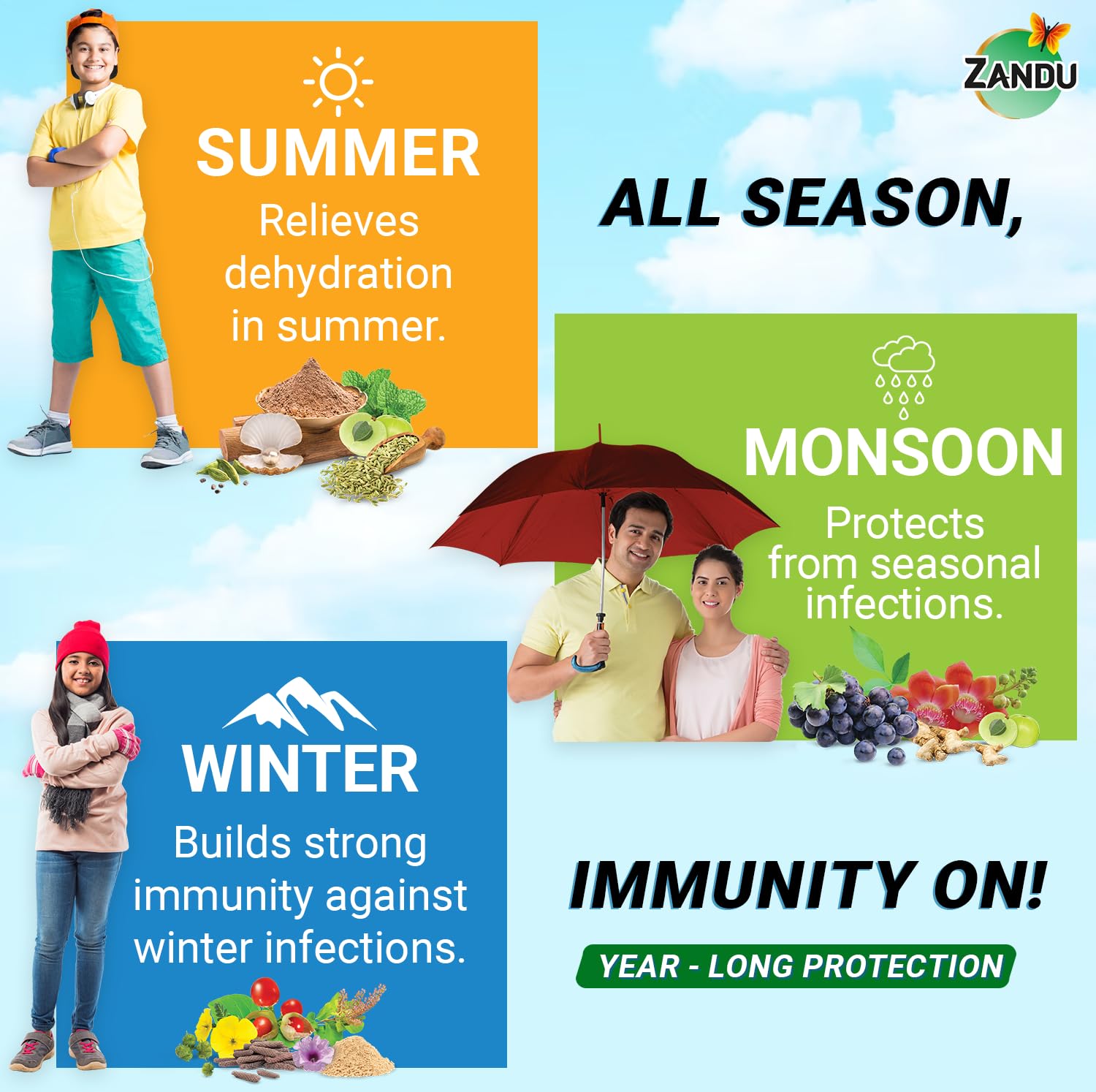 Zandu Chandraprash 900g – view 5