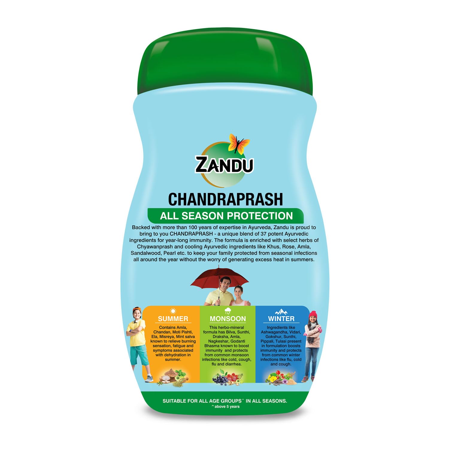 Zandu Chandraprash 900g – view 8