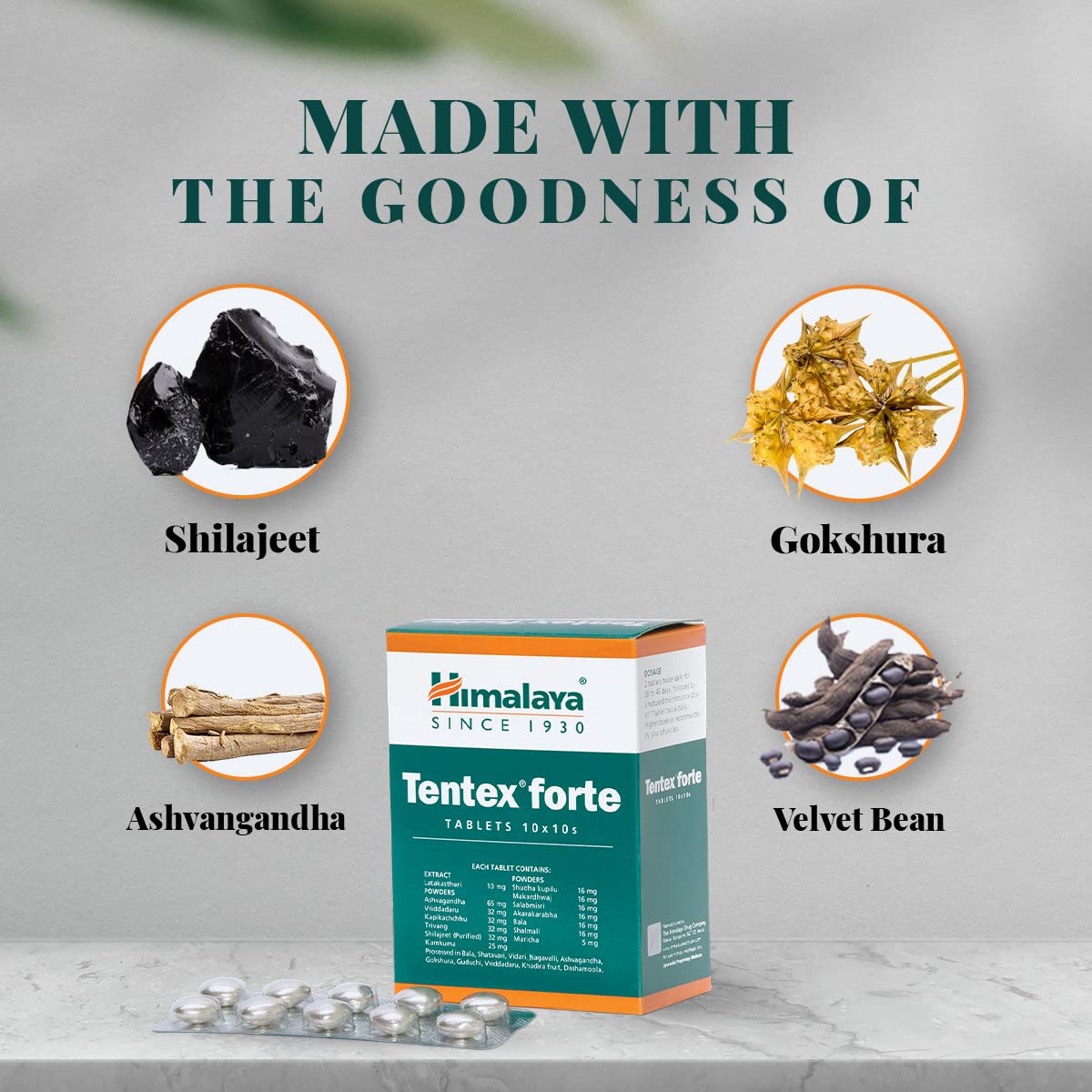 Himalaya Wellness – view 4