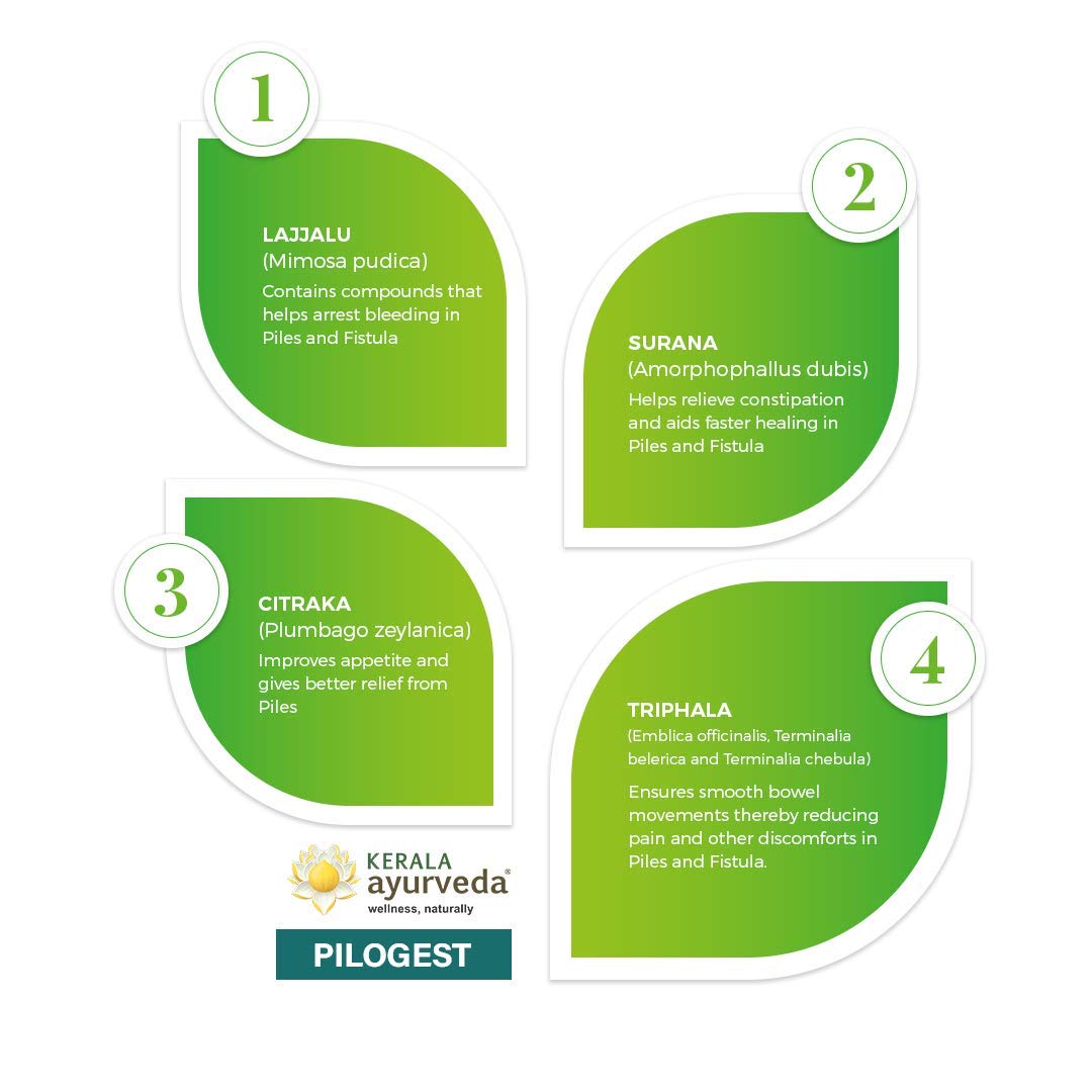 KERALA ayurveda Pilogest - 100 Capsule – view 4