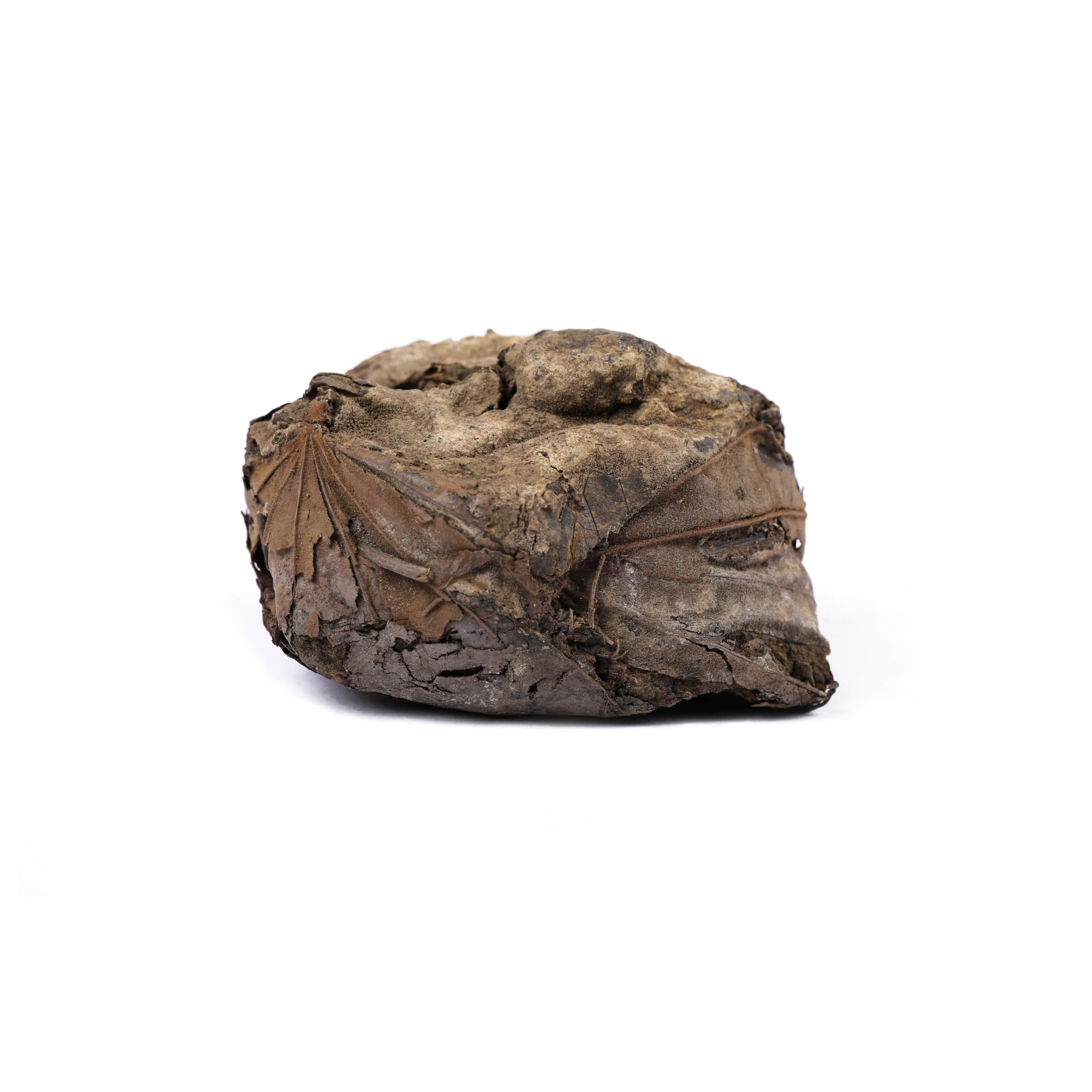 Yuvika Rasaut - Rasot - Berberis Aristata 100 Grams – view 2