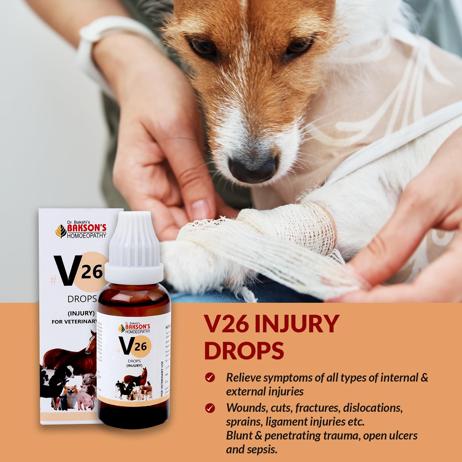 Bakson Veterinary – view 4