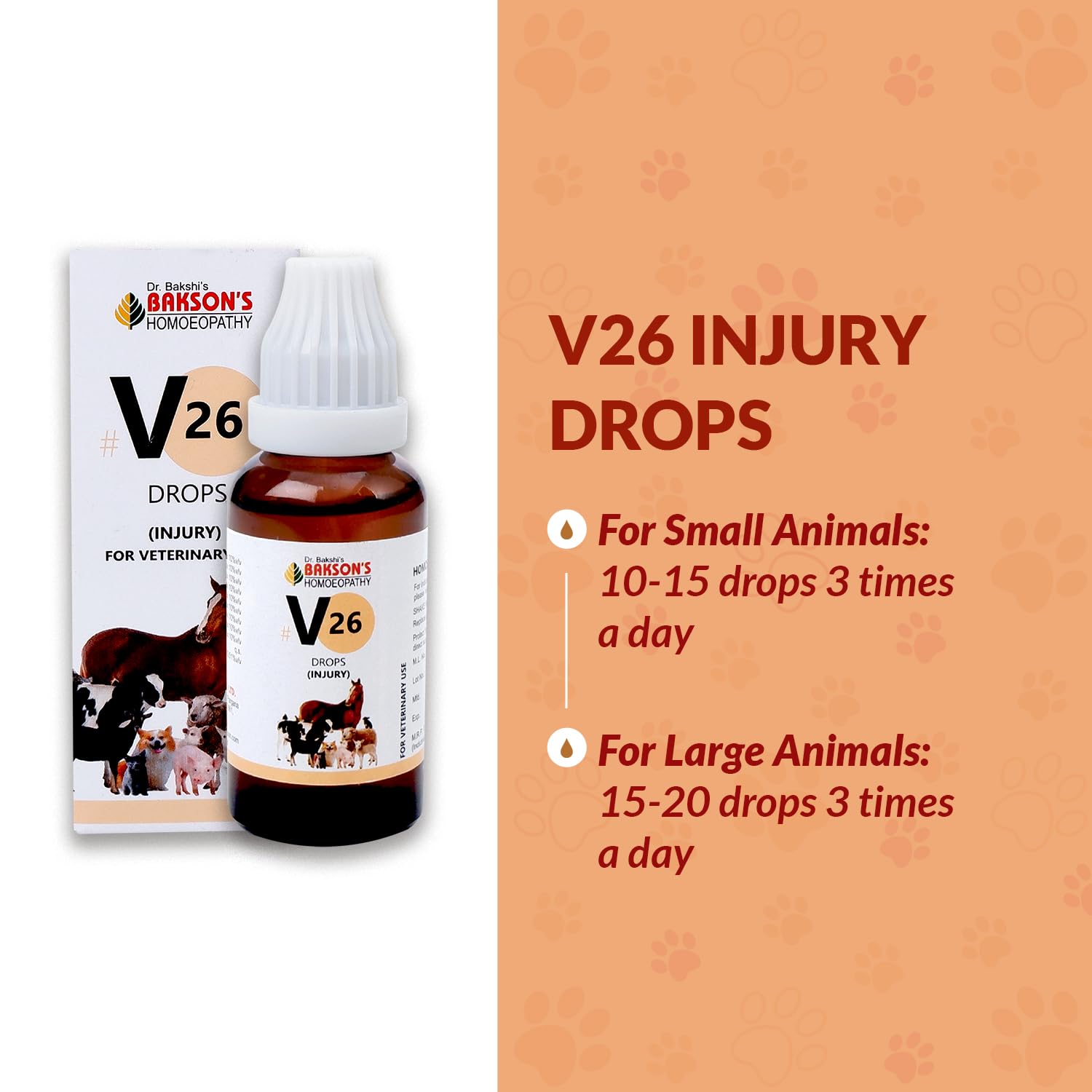 Bakson Veterinary – view 5