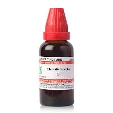 Clematis Erecta Q 30 ml liquid bottle by Dr. Willmar Schwabe India